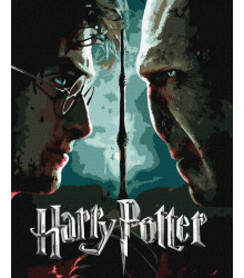 Набір для розпису по номерах WB "Harry Potter: Гаррі та Волдеморт з фарбами металік extra"