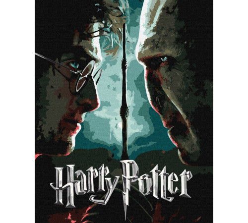 Набір для розпису по номерах WB "Harry Potter: Гаррі та Волдеморт з фарбами металік extra"