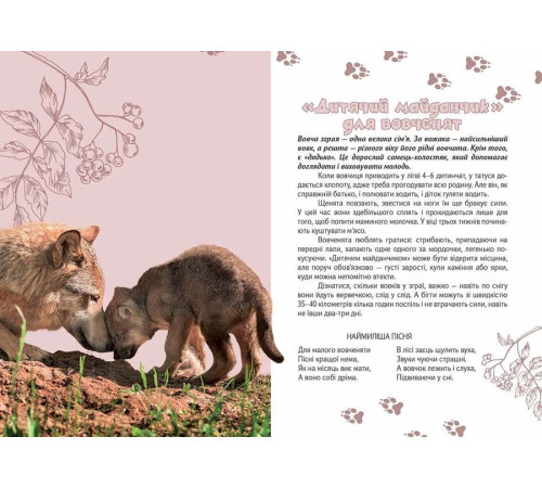 Вусохвості й лапокрилі. Читанка про тварин