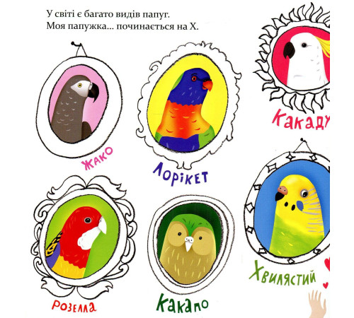 Папужка