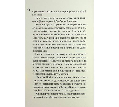 Диявольська ніч. Книга 4.5. Ніч вогню