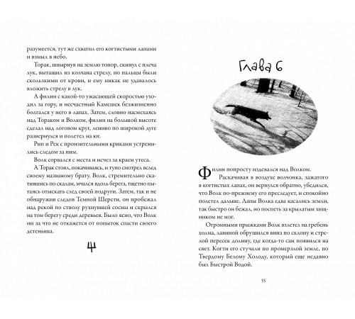 Хроники темных времен. Книга 6. Охота на духов