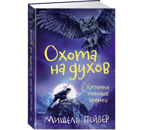 Хроники темных времен. Книга 6. Охота на духов
