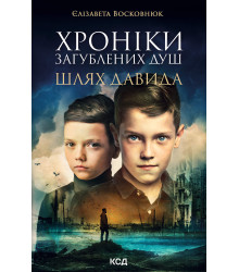 Електронна книга Хроніки загублених душ