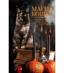 Електронна книга Магия кошек
