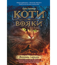 Електронна книга Вогонь і крига