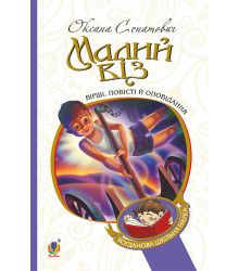 Електронна книга Малий віз