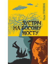 Електронна книга Зустріч на Босому мосту