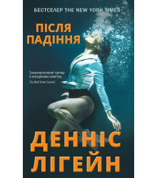 Електронна книга Після падіння