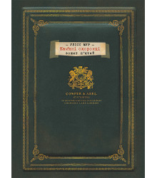 Електронна книга Кам’яні охоронці
