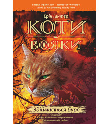 Електронна книга Здіймається буря