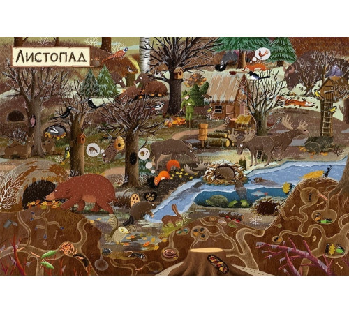 Навчальні книжки Рік у лісі Навчальні книжки Рік у лісі