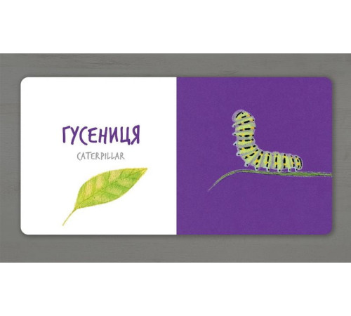Навчальні книжки Комахи (УКР) Навчальні книжки Комахи (УКР)