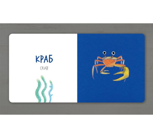 Навчальні книжки Морскі Тварини (УКР) Навчальні книжки Морскі Тварини (УКР)