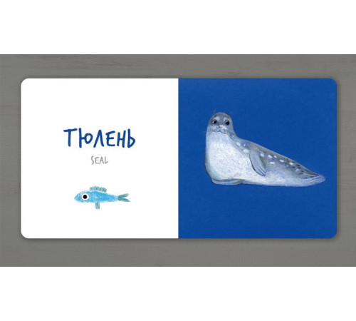 Навчальні книжки Морскі Тварини (УКР) Навчальні книжки Морскі Тварини (УКР)