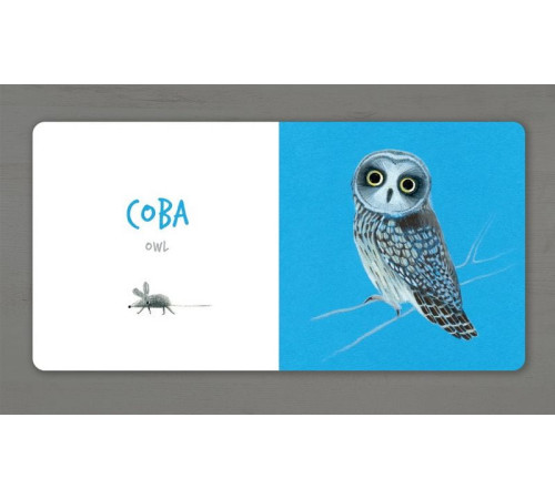 Навчальні книжки Птахи (УКР) Навчальні книжки Птахи (УКР)