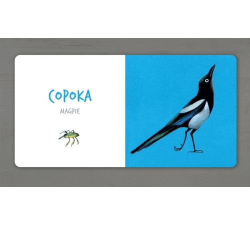 Навчальні книжки Птахи (УКР) Навчальні книжки Птахи (УКР)