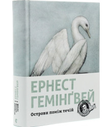 Острови поміж течій
