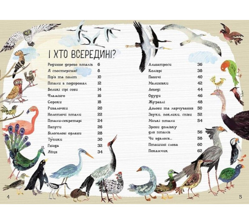 Енциклопедії Велика книга птахів Енциклопедії Велика книга птахів