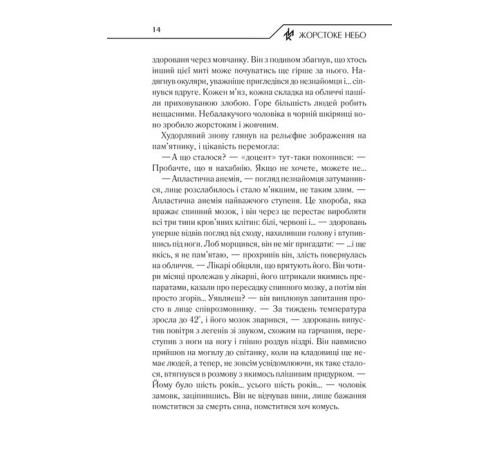 Детективи Жорстоке небо