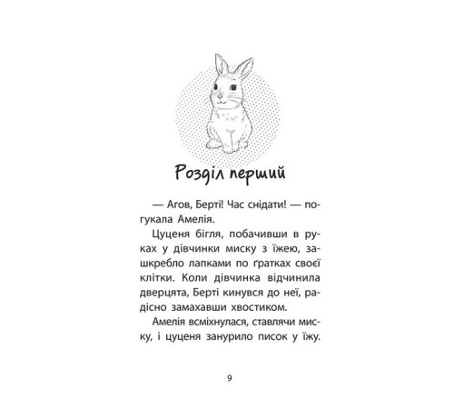 Художня література для підлітків Історії порятунку. Чарівний кролик. Спецвидання Художня література для підлітків Історії порятунку. Чарівний кролик. Спецвидання