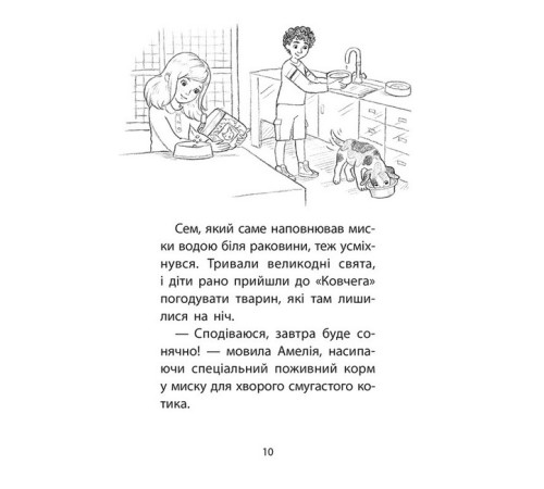 Художня література для підлітків Історії порятунку. Чарівний кролик. Спецвидання Художня література для підлітків Історії порятунку. Чарівний кролик. Спецвидання