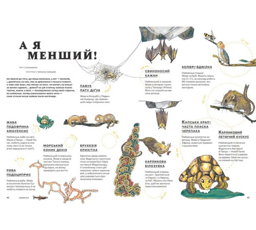 Енциклопедії Зоряний пил під подушкою. Дитячий альманах Енциклопедії Зоряний пил під подушкою. Дитячий альманах