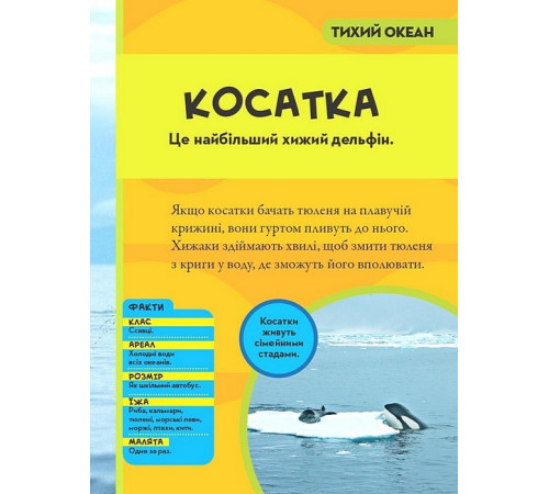 Енциклопедії National Geographic Kids. Моя перша енциклопедія. Океани