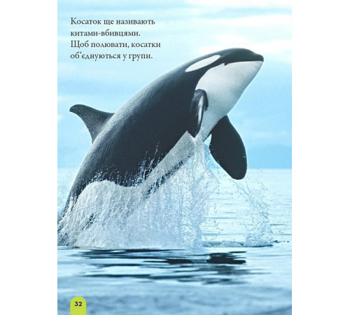 Енциклопедії National Geographic Kids. Моя перша енциклопедія. Океани