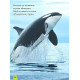 Енциклопедії National Geographic Kids. Моя перша енциклопедія. Океани