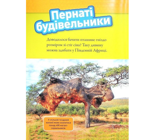 Енциклопедії National Geographic Kids. Тварини-будівники Енциклопедії National Geographic Kids. Тварини-будівники