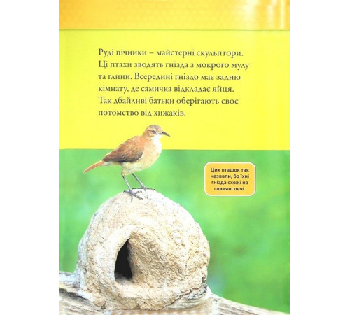 Енциклопедії National Geographic Kids. Тварини-будівники Енциклопедії National Geographic Kids. Тварини-будівники