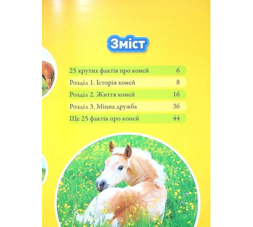 Енциклопедії National Geographic Kids. Галопом! 100 цікавих фактів про коней Енциклопедії National Geographic Kids. Галопом! 100 цікавих фактів про коней