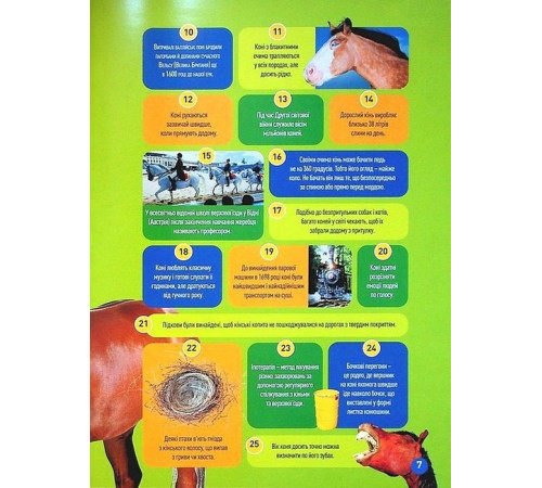 Енциклопедії National Geographic Kids. Галопом! 100 цікавих фактів про коней Енциклопедії National Geographic Kids. Галопом! 100 цікавих фактів про коней