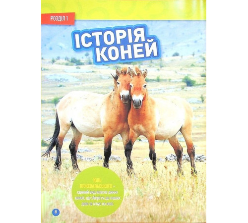 Енциклопедії National Geographic Kids. Галопом! 100 цікавих фактів про коней Енциклопедії National Geographic Kids. Галопом! 100 цікавих фактів про коней