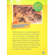 Енциклопедії National Geographic Kids. Галопом! 100 цікавих фактів про коней