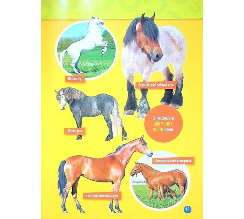 Енциклопедії National Geographic Kids. Галопом! 100 цікавих фактів про коней Енциклопедії National Geographic Kids. Галопом! 100 цікавих фактів про коней