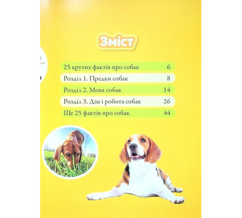 Енциклопедії National Geographic Kids. Гав! 100 цікавих фактів про собак