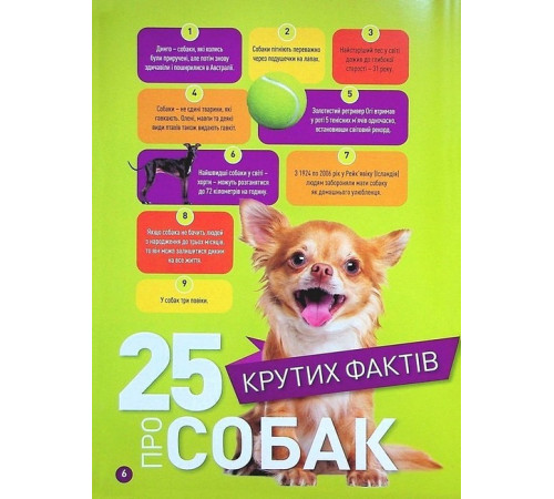 Енциклопедії National Geographic Kids. Гав! 100 цікавих фактів про собак