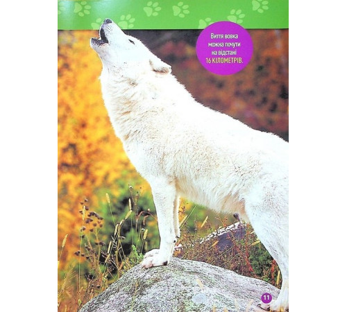 Енциклопедії National Geographic Kids. Гав! 100 цікавих фактів про собак