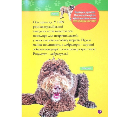Енциклопедії National Geographic Kids. Гав! 100 цікавих фактів про собак