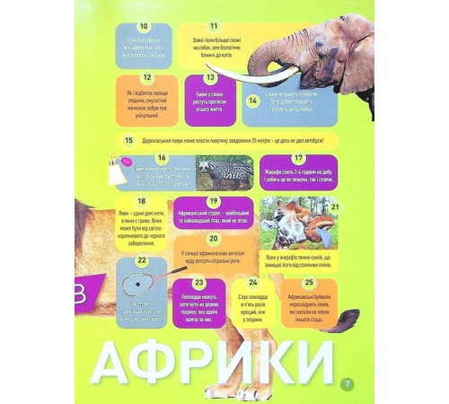 Енциклопедії National Geographic Kids. Гррр! 100 цікавих фактів про тварин Африки Енциклопедії National Geographic Kids. Гррр! 100 цікавих фактів про тварин Африки