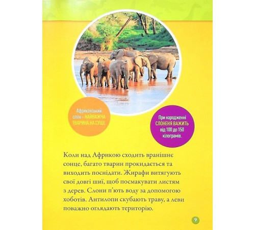 Енциклопедії National Geographic Kids. Гррр! 100 цікавих фактів про тварин Африки Енциклопедії National Geographic Kids. Гррр! 100 цікавих фактів про тварин Африки
