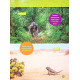 Енциклопедії National Geographic Kids. Гррр! 100 цікавих фактів про тварин Африки