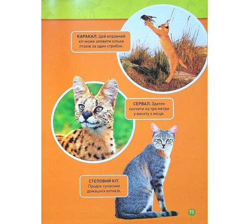 Енциклопедії National Geographic Kids. Гррр! 100 цікавих фактів про тварин Африки Енциклопедії National Geographic Kids. Гррр! 100 цікавих фактів про тварин Африки