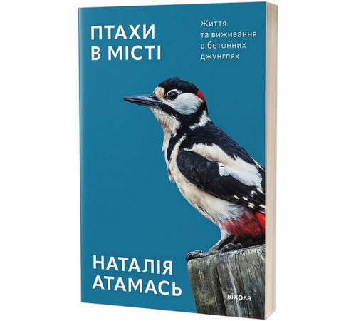 Дозвілля Дозвілля Птахи в місті. Життя та виживання в бетонних джунглях Дозвілля Дозвілля Птахи в місті. Життя та виживання в бетонних джунглях