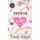 Романи Тисяча друзок