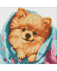Алмазна мозаїка - Щасливий шпіц