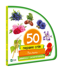Рослини. Дивимось і запам'ятовуємо
