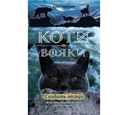 Фантастика та фентезі Гантер Коти - вояки. Нове пророцтво. Книга 2. Сходить місяць Фантастика та фентезі Гантер Коти - вояки. Нове пророцтво. Книга 2. Сходить місяць